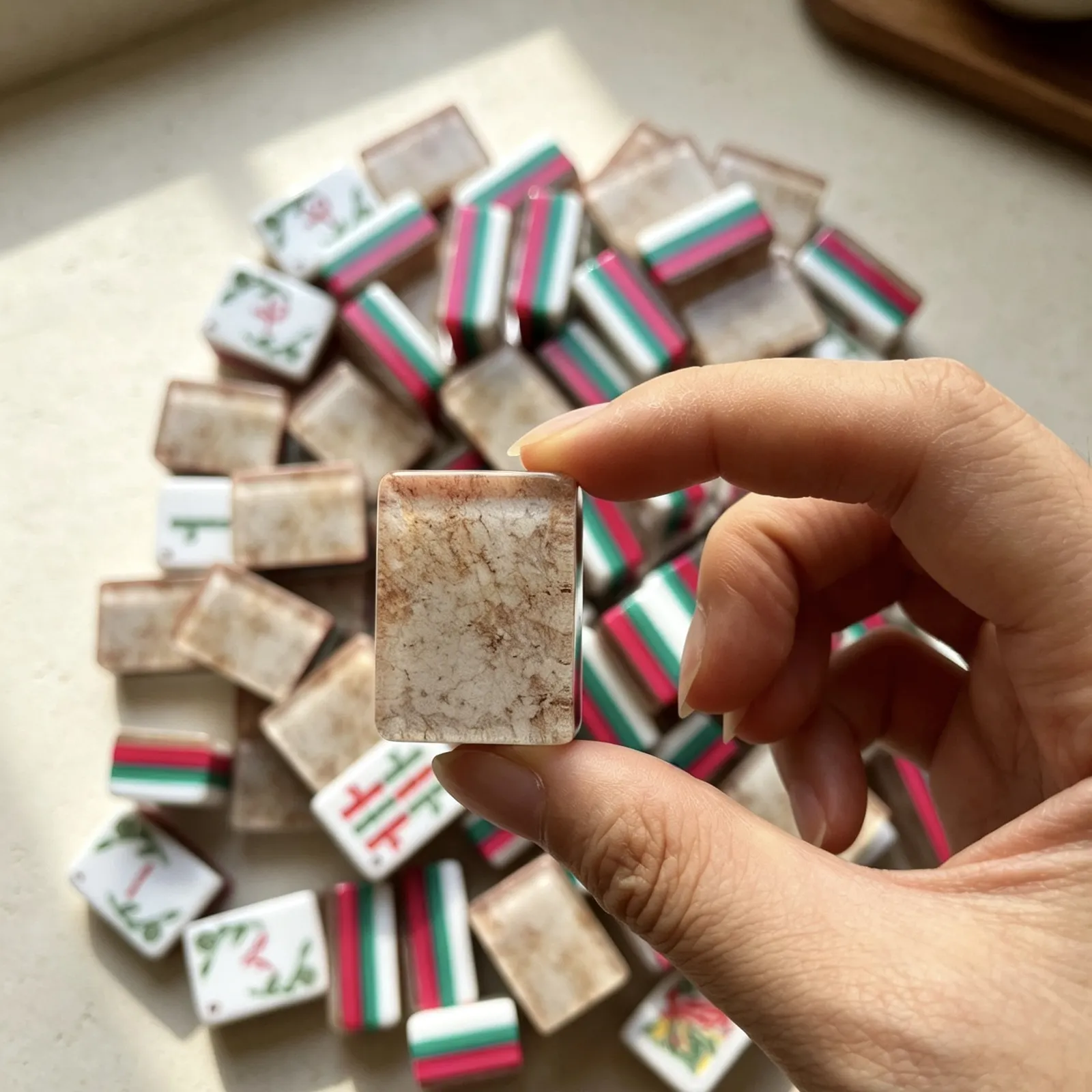 Casualruby© Wild Earth American Mahjong Tiles